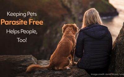 Keeping Pets Parasite Free Helps People, Too!